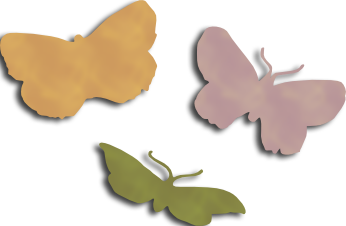 Three Butterflies Three Butterflies